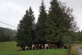 103 Lamoura